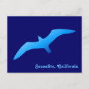 Recherche de gode cartes postales Oiseau