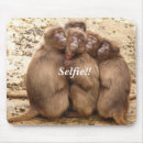 Recherche de cinq tapis souris Nature