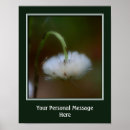 Recherche de duvet posters Fleur