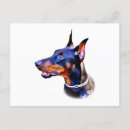 Recherche de pinscher dobermann cartes postales Canine
