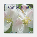 Recherche de pommier magnets Fleurs de printemps