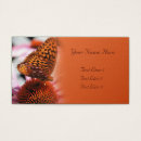 Recherche de papillon orange cartes visite Nature