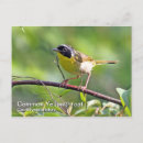 Recherche de jaunâtre cartes postales Faune