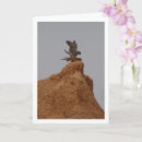 Recherche de faucon vœux cartes Oiseau de proie