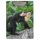 Recherche de transporteur porte blocs Animal