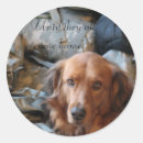 Recherche de chien militaire autocollants Camo