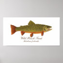 Recherche de truite de ruisseau posters Pêche à la mouche