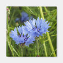 Recherche de bleuet magnets Floral