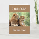 Recherche de lion photographie Amour