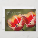 Recherche de tulipe invitations Jardin