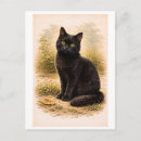 Recherche de illustration de chat noir cartes postales Dessin