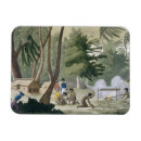 Recherche de tribu magnets Siècle