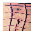 Recherche de guitare carreaux Blues