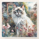 Recherche de ragdolls dessous de verres Poupée