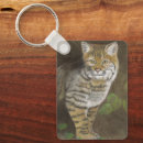 Recherche de bobcat porteclés Chat