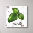 Recherche de basilic Jardin