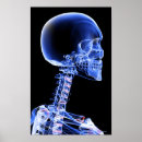 Recherche de cou humain posters Vertical