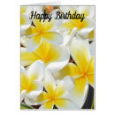 Recherche de frangipanni Frangipani