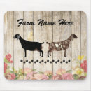 Recherche de chevres tapis souris Bétail