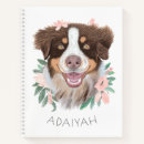 Recherche de berger australien carnets Chiot