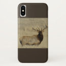 Recherche de élans de taureau Photographie de faune