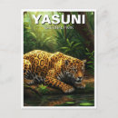 Recherche de amazone cartes postales Travel