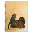 Recherche de primates carnets Animal