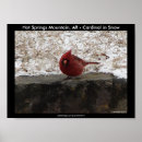 Recherche de cardinaux posters Cardinal