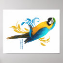 Recherche de perroquet bleu posters Tropical