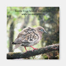Recherche de santa cruz magnets Photographie