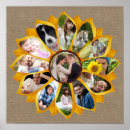 Recherche de sunflower posters Pour eux