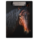 Recherche de cheval porte blocs Photographie