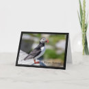 Recherche de phoques vœux cartes Nature