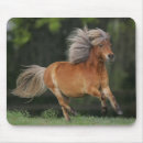 Recherche de cheval miniature tapis souris Plomb langrish