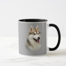 Recherche de sibérien tasses Chien de traîneau sibérien