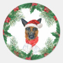 Recherche de chiens de berger autocollants Dogs