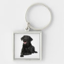 Recherche de labrador porteclés Puppy