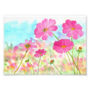 Recherche de fleur de cosmos posters Fleurs roses