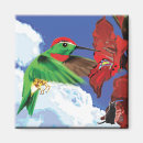 Recherche de vie quotidienne magnets Coloré