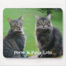 Recherche de minous tapis souris Noir