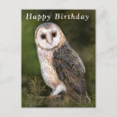 Recherche de hibou anniversaire cartes Oiseau