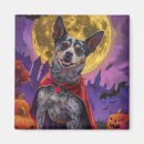 Recherche de bovin magnets Chien
