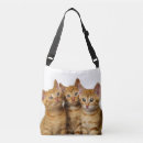 Recherche de trois sacs Drôle