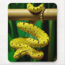 Recherche de python tapis souris Faune