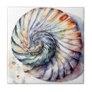 Recherche de nautilus carreaux Plage