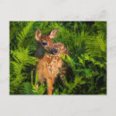 Recherche de schwarze posters Minnesota