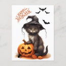 Recherche de araignée cartes postales Chat noir