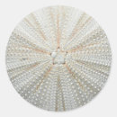 Recherche de oursin autocollants Été