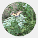 Recherche de écosystème autocollants Nature