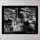 Recherche de cascade noire posters Blanc